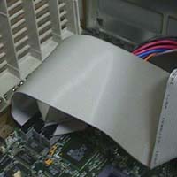 SCSI Cable