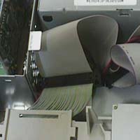 SCSI Cable